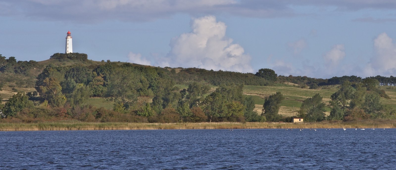 Coastal Summer School