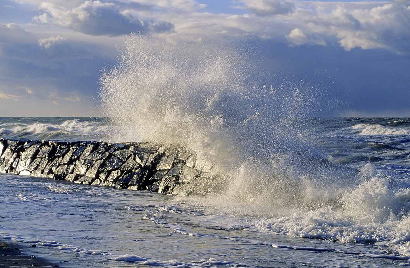 Coastal Summer School - Program